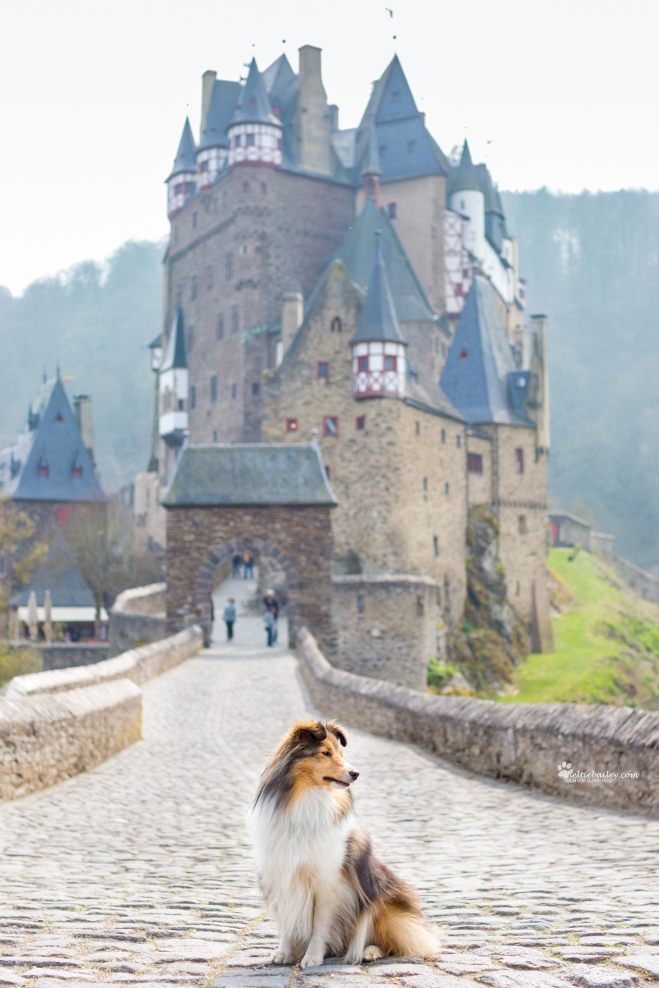 Burg Eltz Wandertour mit Hund